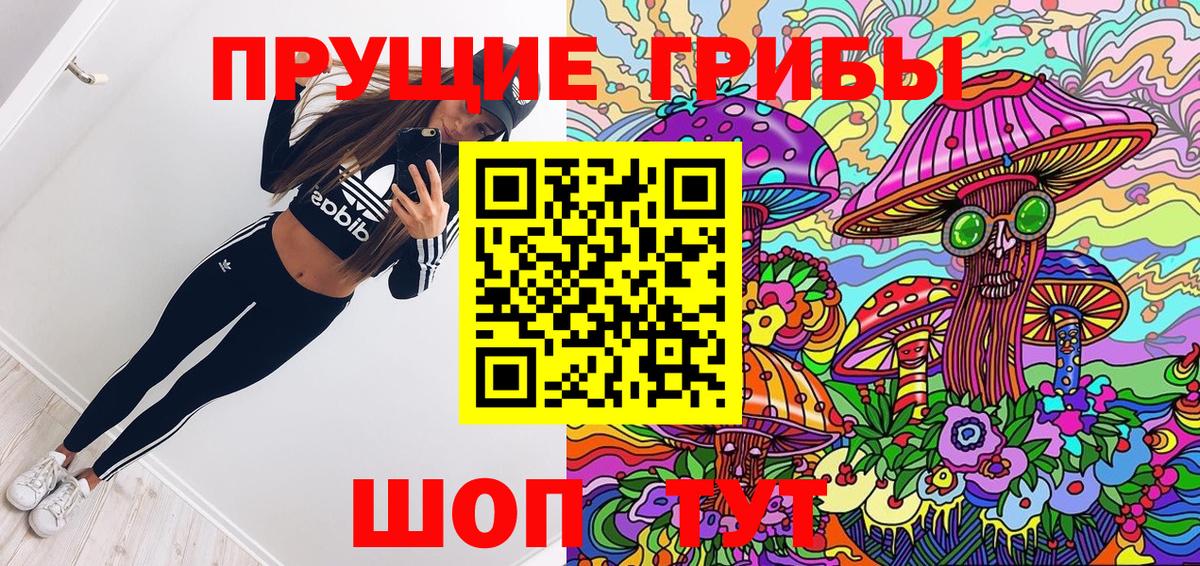 Псилоцибиновые грибы Psilocybine cubensis Фролово